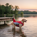 Dog Life Jacket with Removable Float