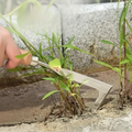 Weed Puller Tool for Brick & Patio Joints