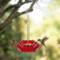 Ant Proof Hummingbird Feeder with Hanging Perch